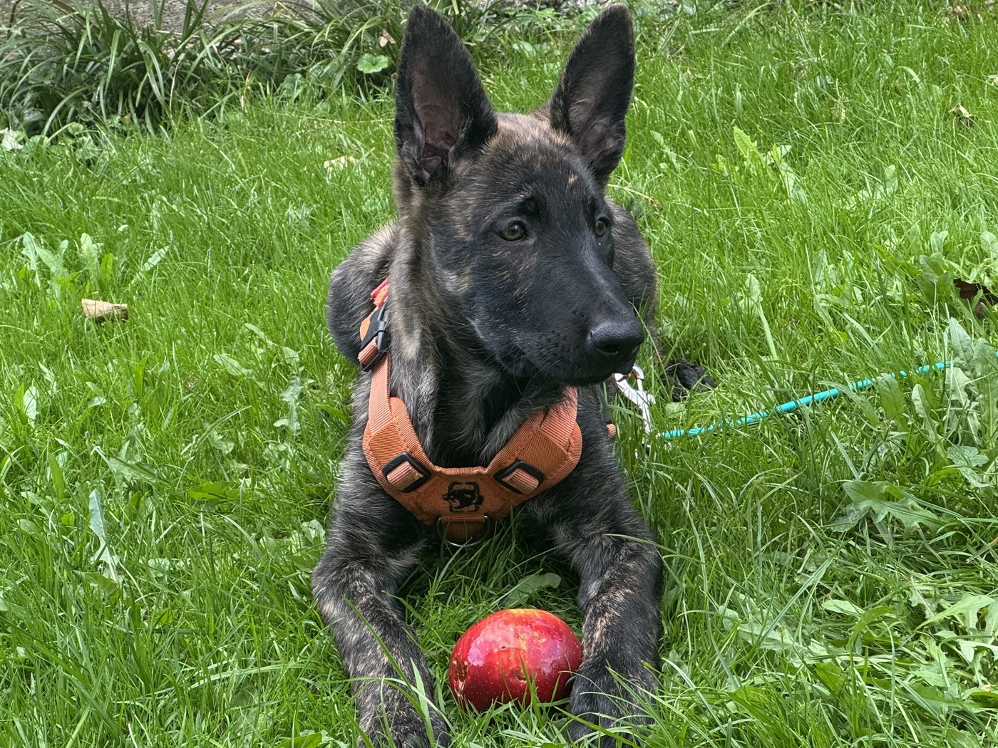 Aus dem Training