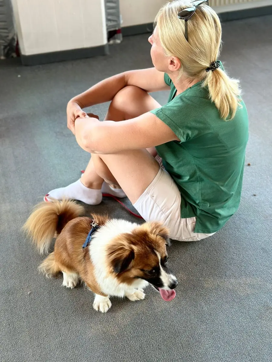 Kind und kleiner Hund lernen gemeinsam — familienfreundliches Hundetraining